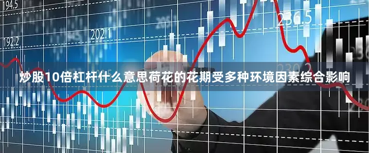 炒股10倍杠杆什么意思荷花的花期受多种环境因素综合影响
