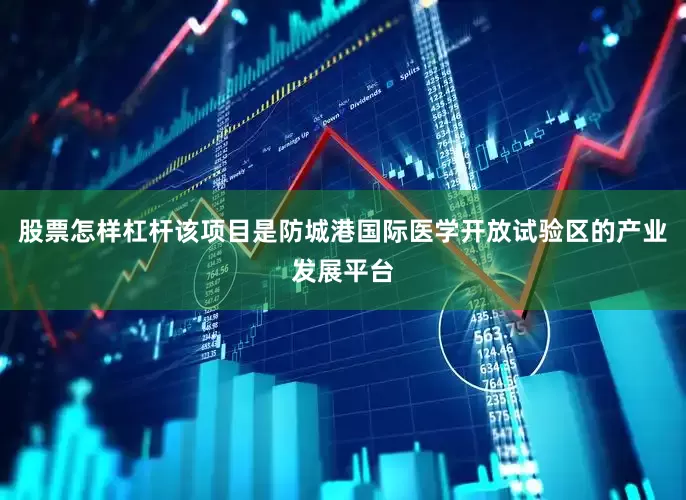 股票怎样杠杆该项目是防城港国际医学开放试验区的产业发展平台