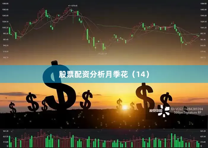 股票配资分析月季花（14）